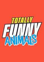 Watch Totally Funny Animals Zoechip
