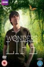 Watch Wonders Of Life Zoechip