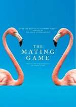 Watch The Mating Game Zoechip