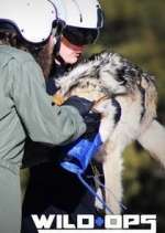 Watch Wild Ops Zoechip