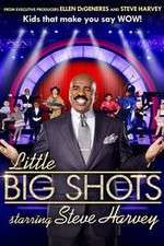 Watch Little Big Shots Zoechip