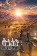 Watch BROTHERHOOD FINAL FANTASY XV Zoechip