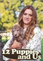 Watch 12 Puppies and Us Zoechip