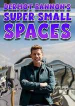 Watch Dermot Bannon's Super Small Spaces Zoechip