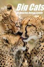 Watch Big Cats: An Amazing Animal Family Zoechip