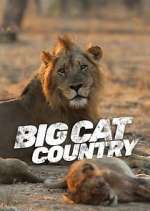 Watch Big Cat Country Zoechip