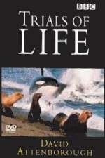 Watch The Trials of Life Zoechip