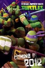 Watch Teenage Mutant Ninja Turtles Zoechip