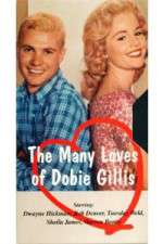 Watch The Many Loves of Dobie Gillis Zoechip
