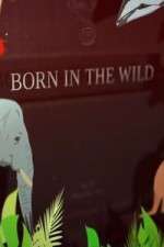 Watch Born In The Wild Zoechip