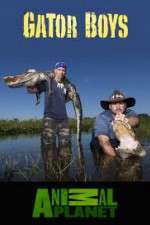 Watch Gator Boys Zoechip