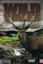 Watch Wild Wales Zoechip