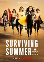 Watch Surviving Summer Zoechip