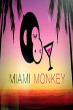 Watch Miami Monkey Zoechip