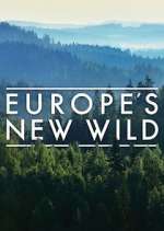 Watch Europe's New Wild Zoechip