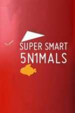 Watch Super Smart Animals Zoechip