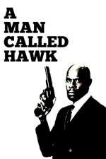 Watch A Man Called Hawk Zoechip