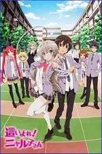 Watch Haiyore Nyaruko-san Zoechip