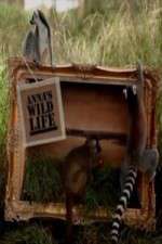 Watch Anna's Wild Life Zoechip