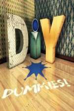 Watch DIY Dummies Zoechip