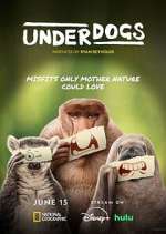 Watch Underdogs Zoechip