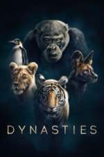 Watch Dynasties Zoechip
