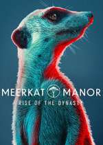 Watch Meerkat Manor: Rise of the Dynasty Zoechip