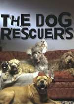 Watch The Dog Rescuers with Alan Davies Zoechip