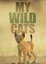 Watch My Wild Cats Zoechip
