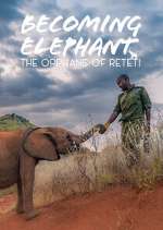 Watch Becoming Elephant: The Orphans Of Reteti Zoechip