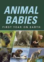 Watch Animal Babies: First Year on Earth Zoechip