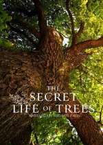 Watch The Secret Life of Trees Zoechip