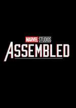 Watch Marvel Studios: Assembled Zoechip