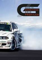 Watch Road to Gymkhana Grid Profiles Zoechip