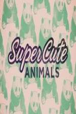 Watch Super Cute Animals Zoechip