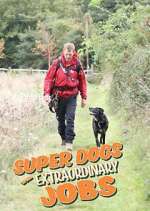 Watch Super Dogs with Extraordinary Jobs Zoechip