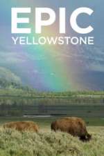 Watch Epic Yellowstone Zoechip