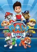 Watch Paw Patrol Zoechip