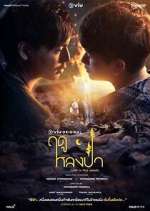 Watch Lost in the Woods Zoechip