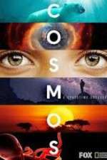 Watch Cosmos A SpaceTime Odyssey Zoechip