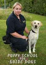 Watch Puppy School for Guide Dogs Zoechip
