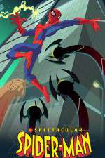 Watch The Spectacular Spider-Man Zoechip
