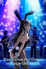 Watch Rascal Does Not Dream of Bunny Girl Senpai Zoechip