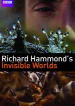 Watch Richard Hammond's Invisible Worlds Zoechip