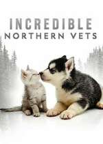 Watch Incredible Northern Vets Zoechip