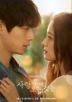 Watch What Comes After Love Zoechip