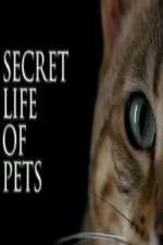 Watch The Secret Life of Pets Zoechip
