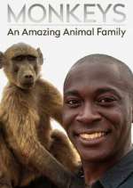 Watch Monkeys: An Amazing Animal Family Zoechip