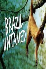Watch Brazil Untamed Zoechip