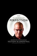 Watch In Search of Perfection Zoechip